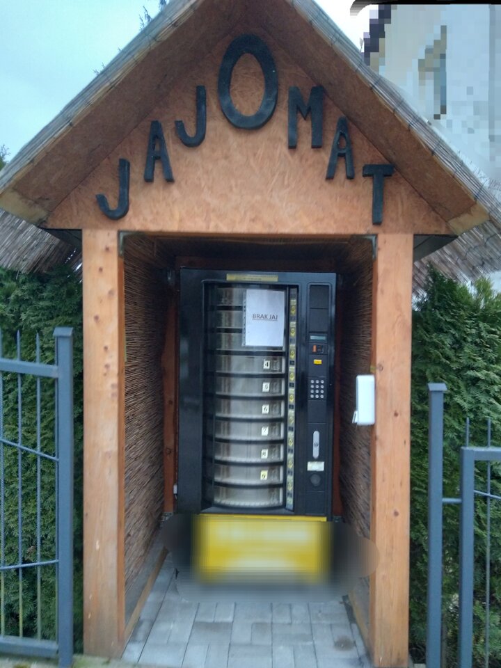 Cohones - Swawolnylu