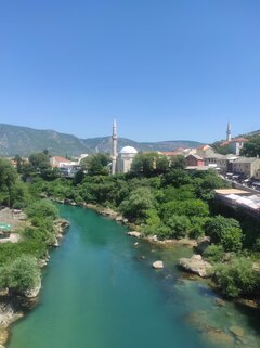 IMG_20220616_111630.jpg