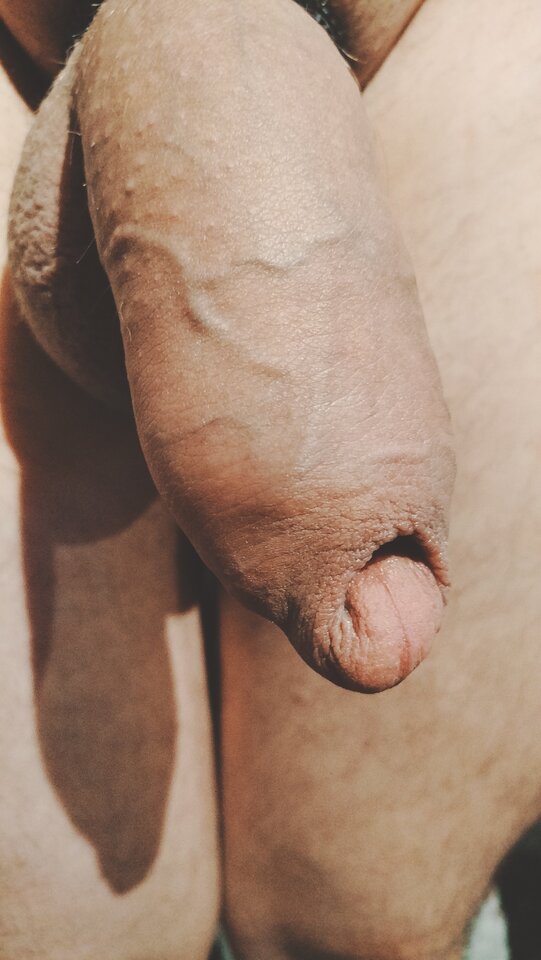 IMG20230317054207.jpg - RATCVAC