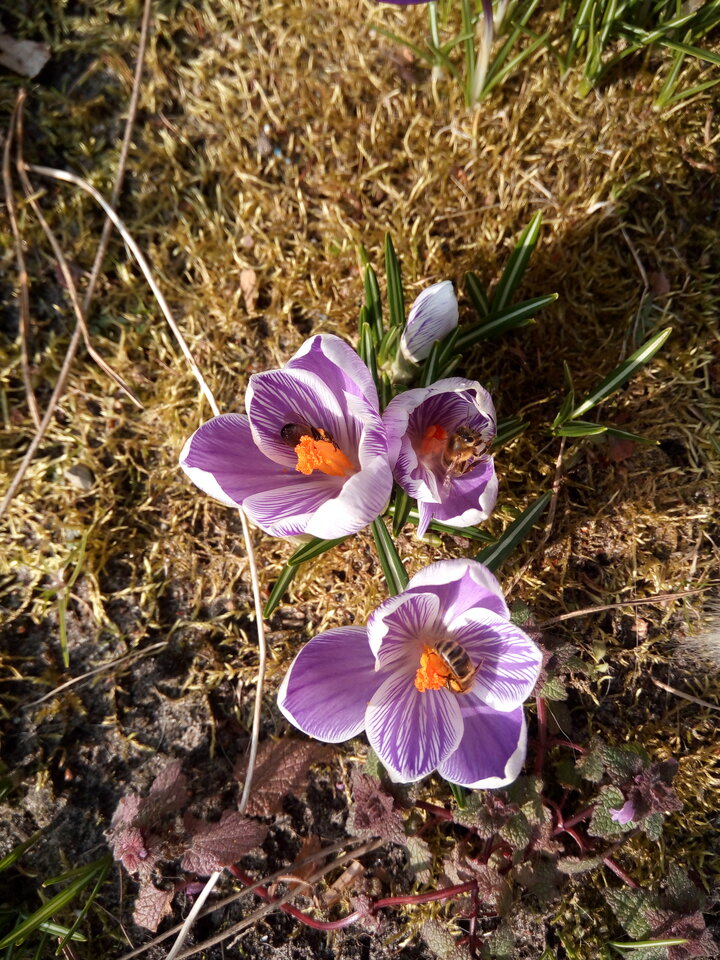 16791430847832037790255365966823.jpg - Spark33