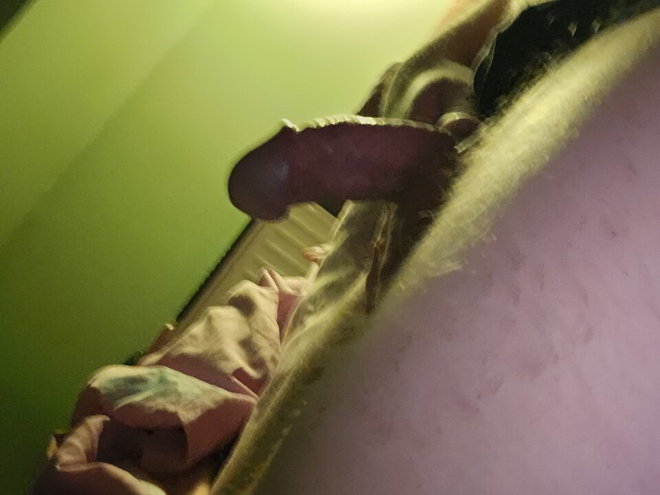 20230319_025753.jpg - TomekMisiek12345