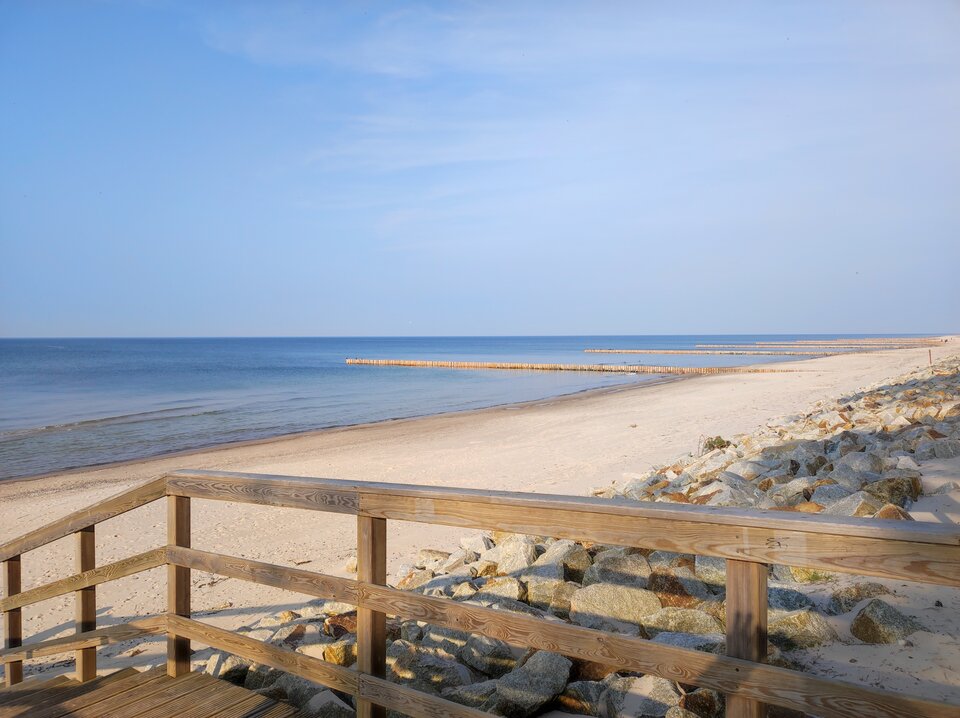 IMG_20230318_152410.jpg - Mature44youngbull