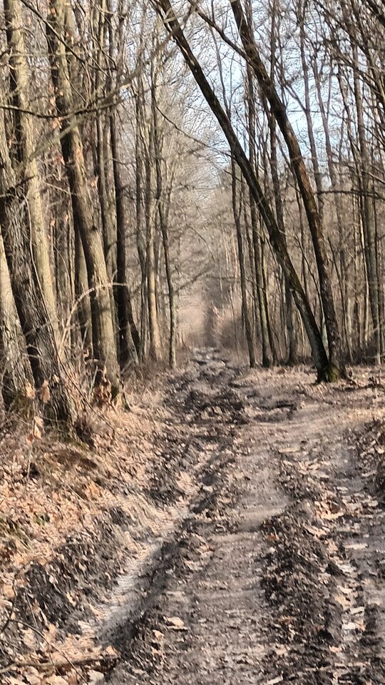 20230319_152324.jpg - Voyager07