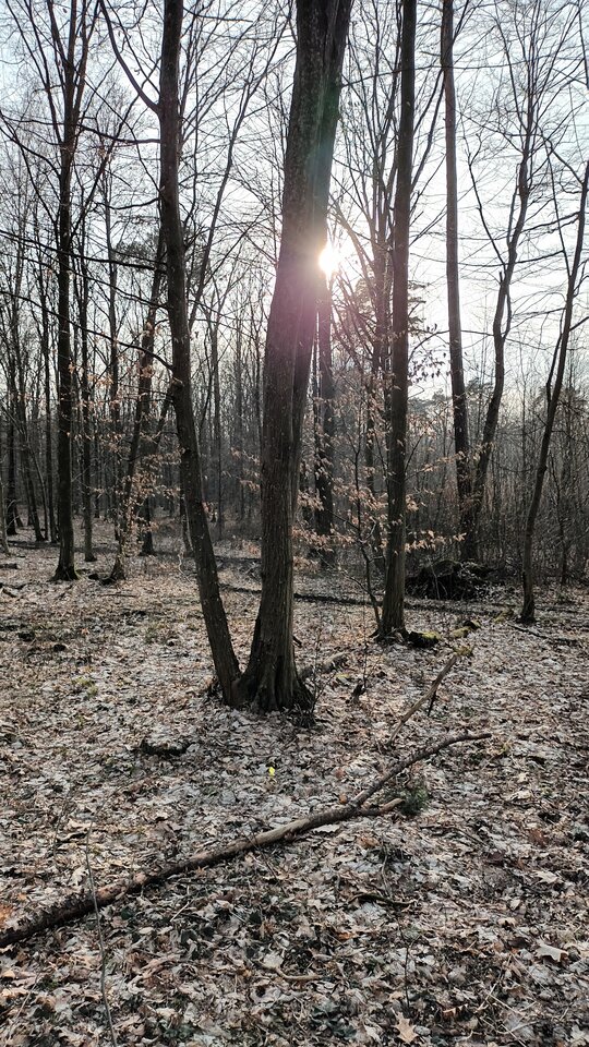 20230319_153932.jpg - Voyager07