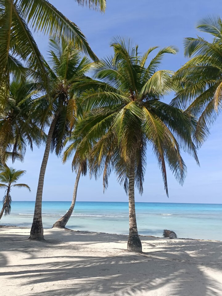 IMG-20230319-WA0004.jpg - Jeszczeniewiemyczegochcemy