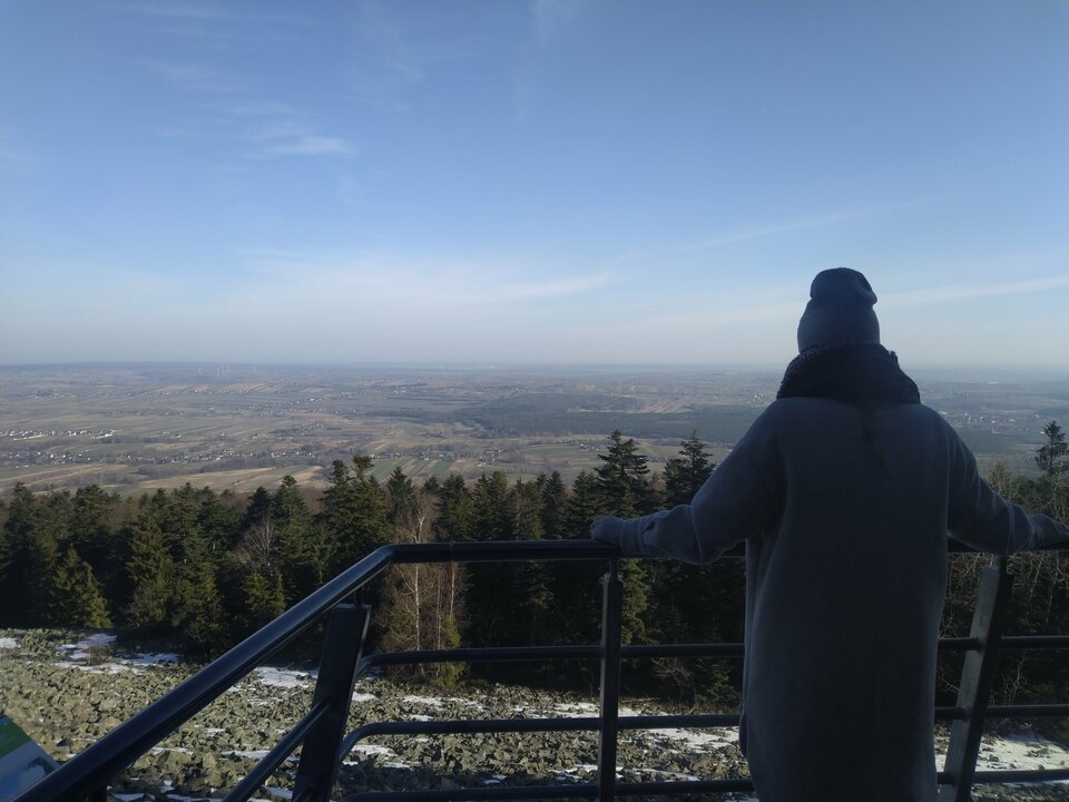 IMG_20230319_080303.jpg - avocadoZpestka