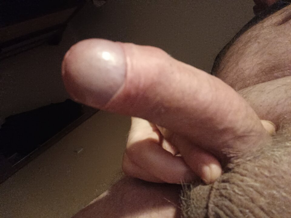 16792869541484900419265192571873.jpg - ardas1