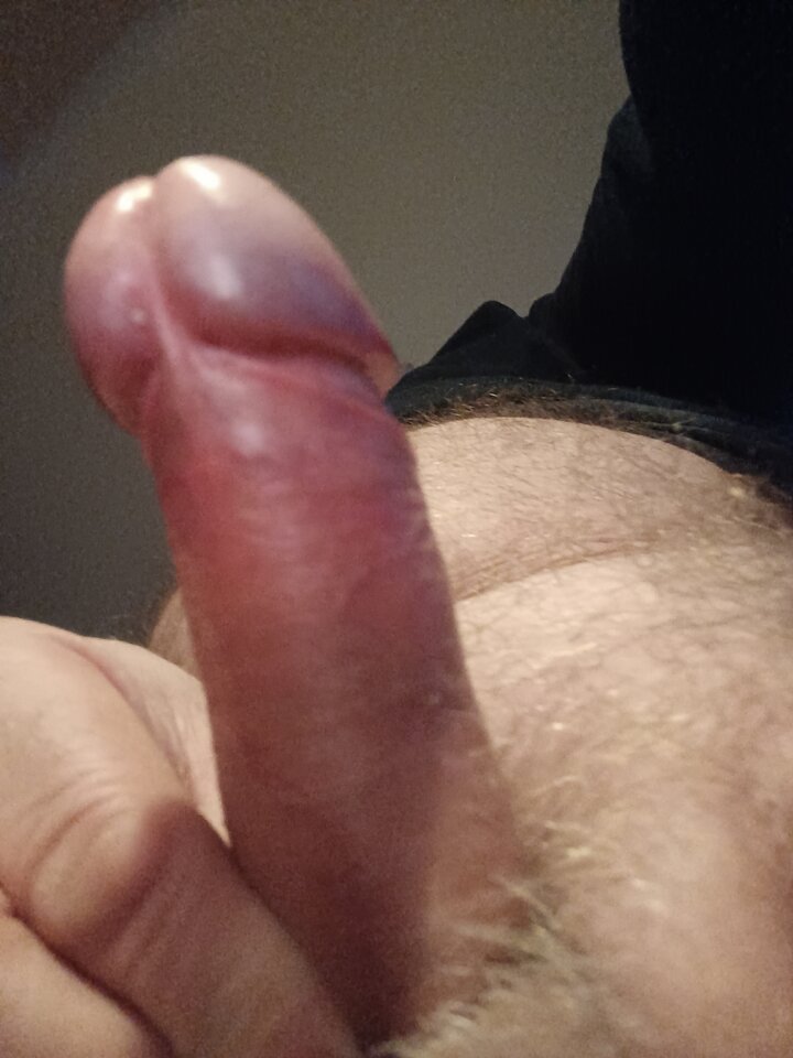 16792869826226592588288441497549.jpg - ardas1