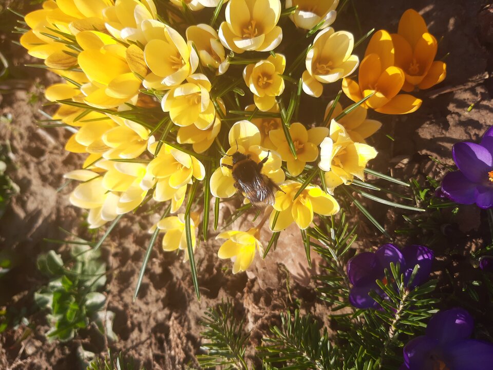 20230319_132945.jpg - Glodnisexu1