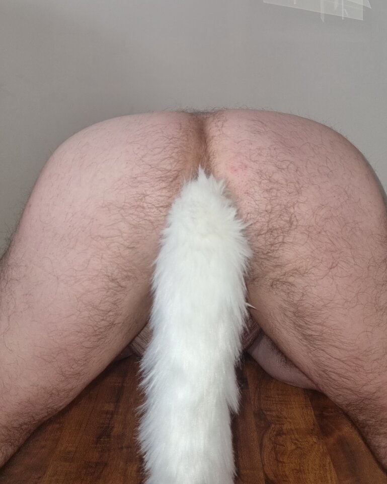 20230320_143201.jpg - Jarekx1