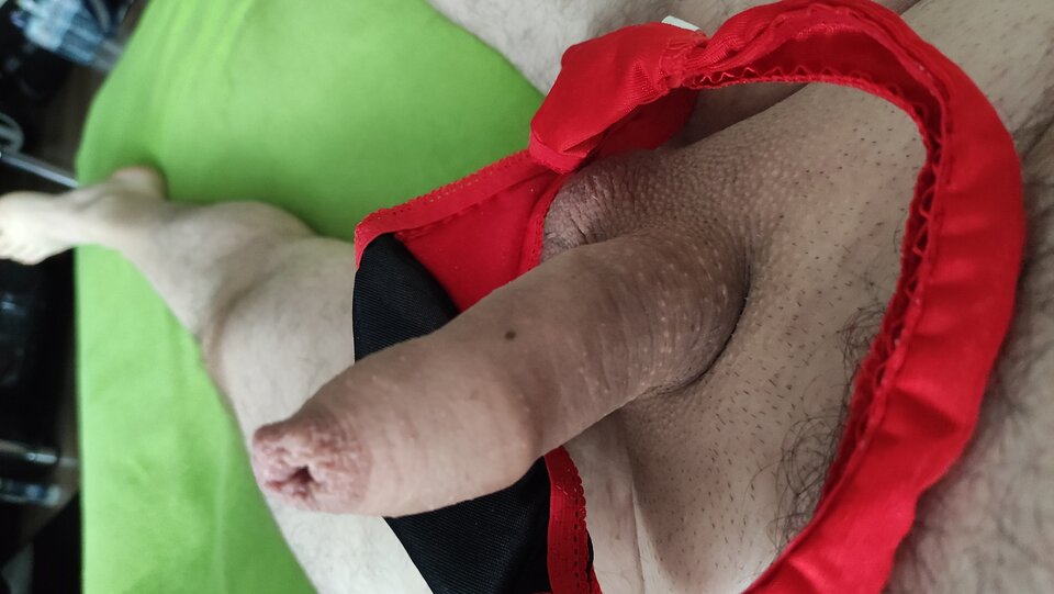 IMG_20230321_080357.jpg - Kriss7788