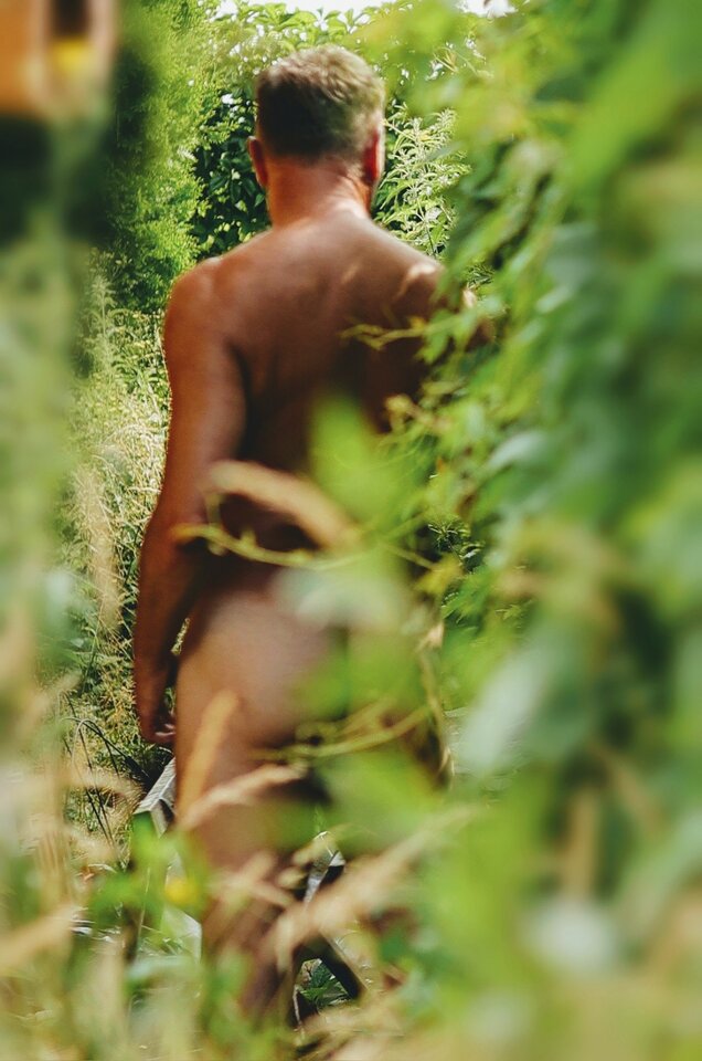 ... w moim ogrodzie... 😎☀️ - BlackjackBack