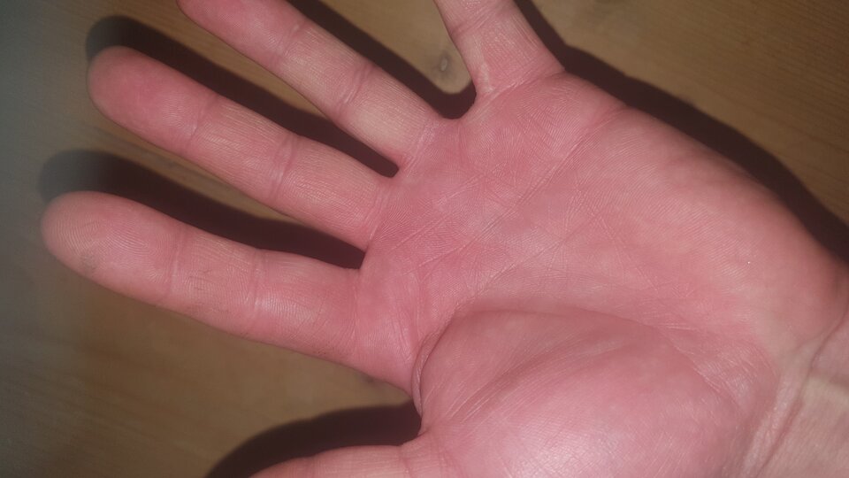 20230321_104904.jpg - Marzyciel178
