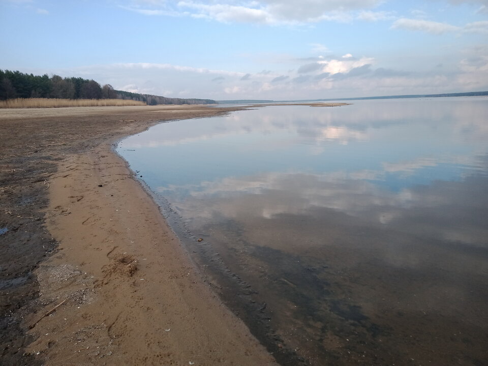 IMG20230321153536.jpg - lookin_