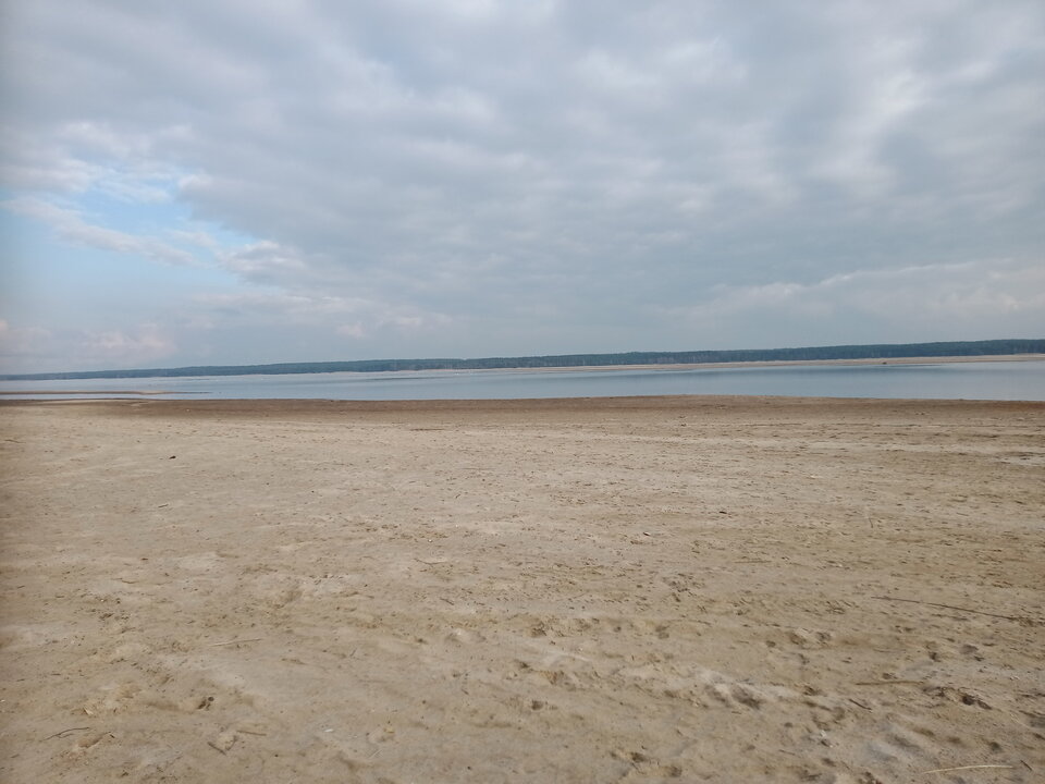 IMG20230321154334.jpg - lookin_