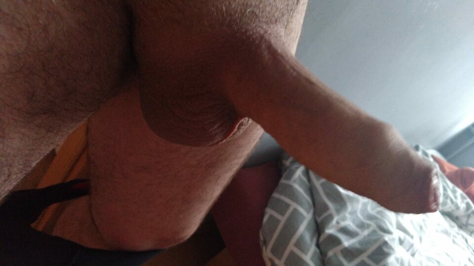 WhatsApp Image 2023-03-21 at 17.01.48.jpeg - Zonaty9191