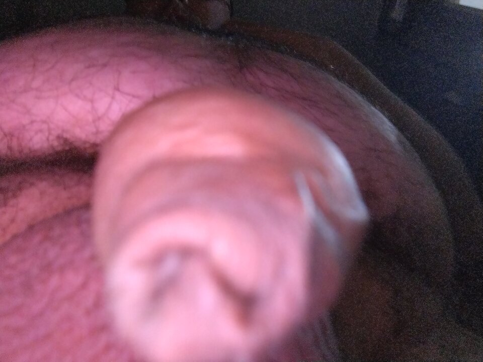 16794401246801705648263180861535.jpg - Dzikusek201