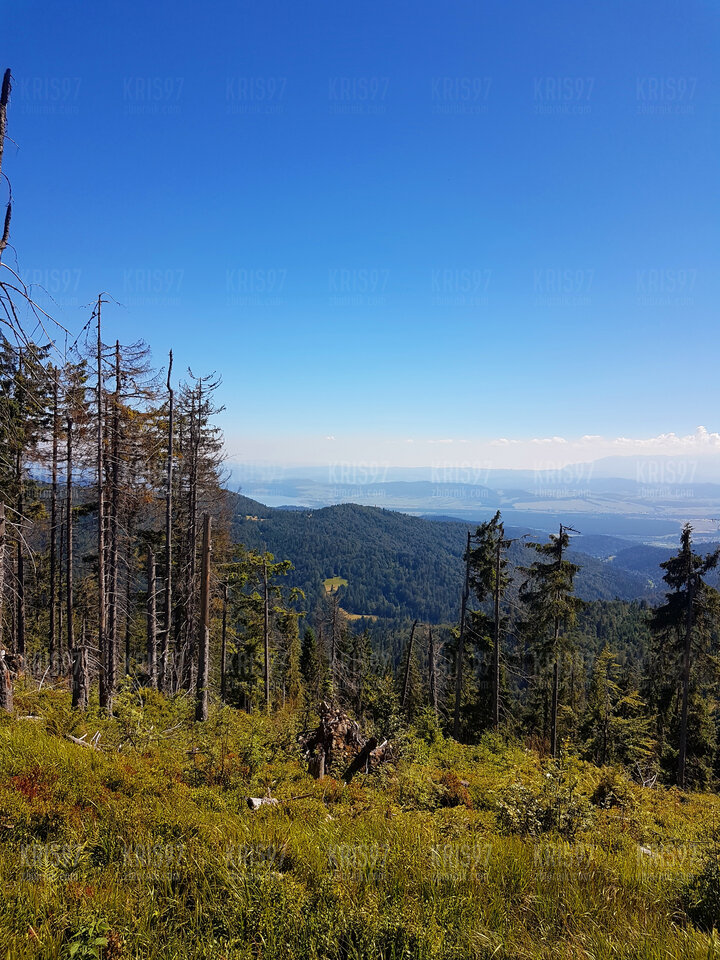 ',',','.jpeg - kris97