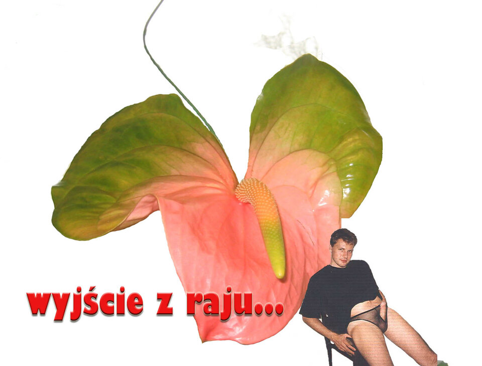 kwiatek2.jpg - Zbig999