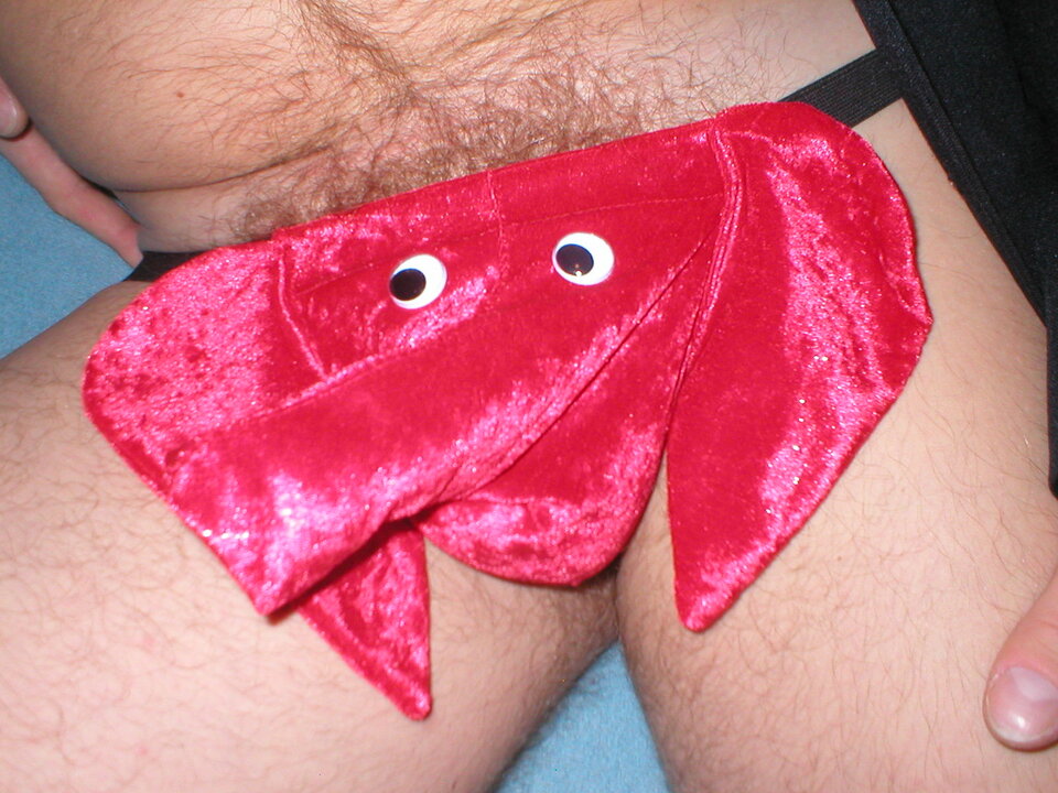 Nos Pinokia - Zbig999