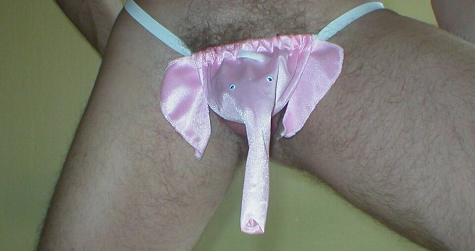 Trąbka do pociągnięcia - Zbig999