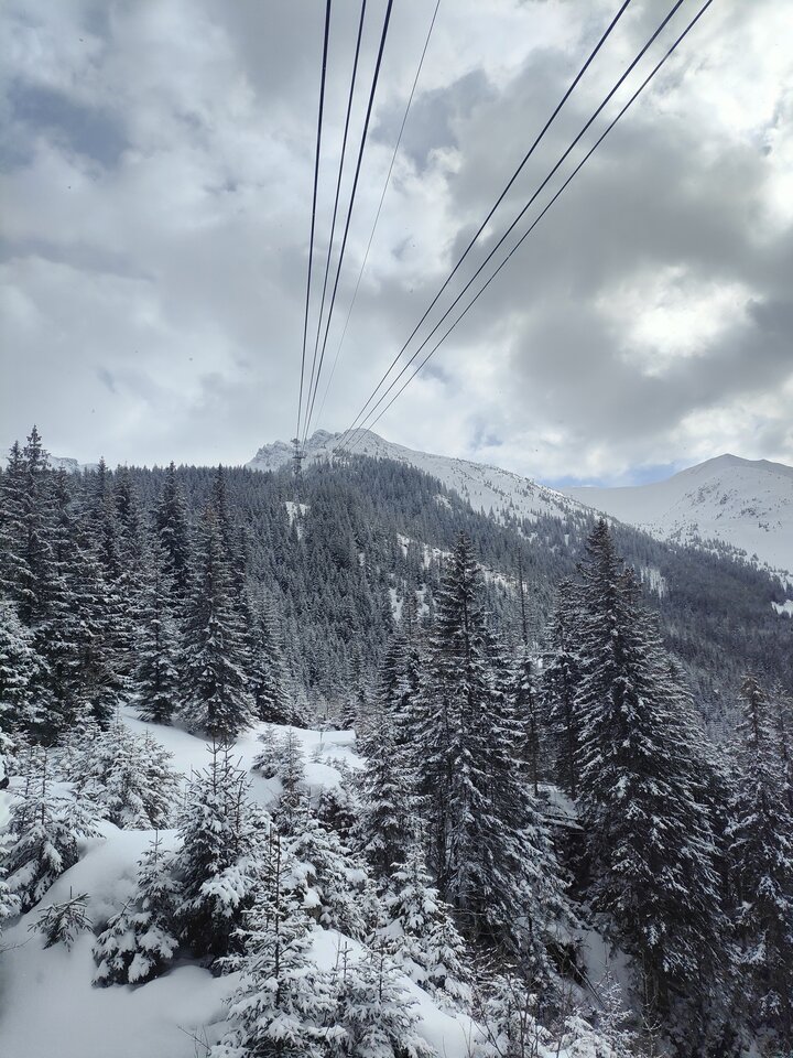 IMG20230316132032.jpg - zawszerazem22