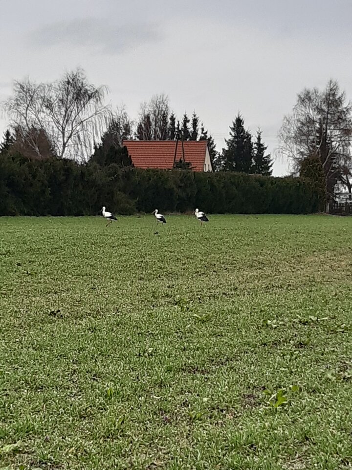 20230323_092420.jpg - misiu1969