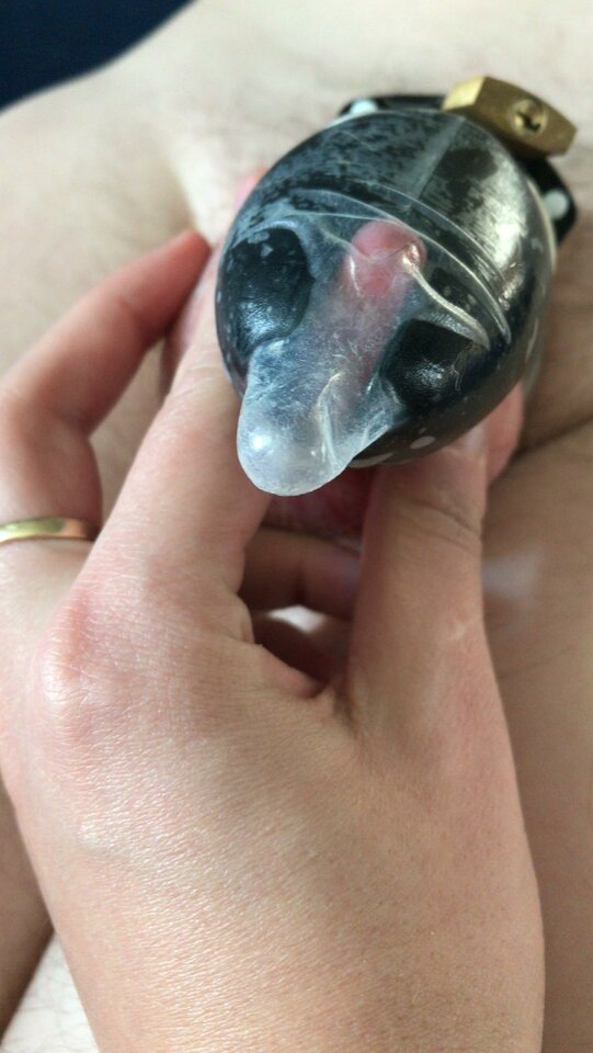 6AE8E179-8626-4CD7-AF8E-C655675235DA.jpeg - Rogaty90