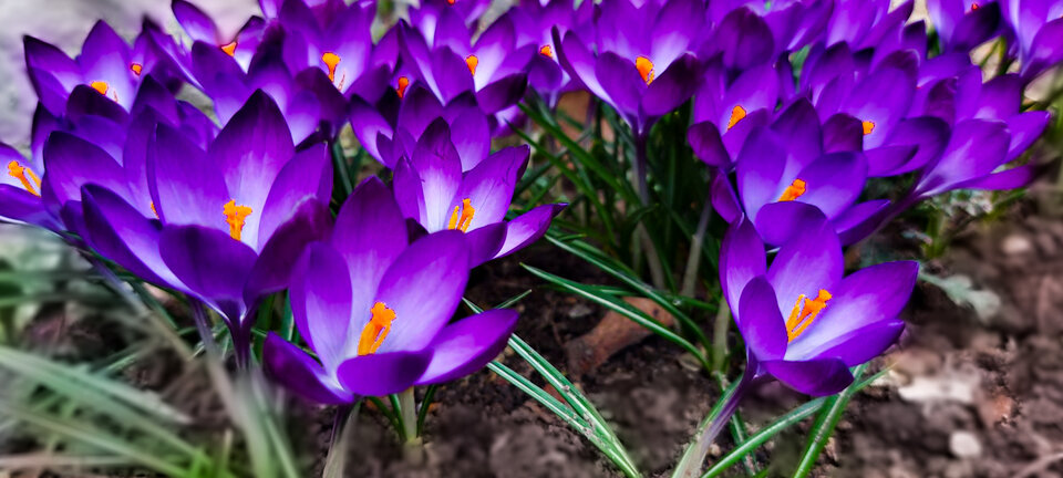 Resized_20230323_122059-2.JPG - Roscoo