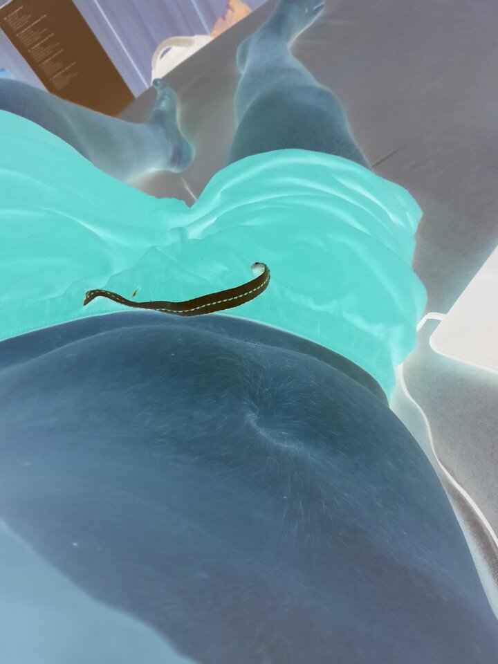 20200731_0826461.jpg - 69LoverKr