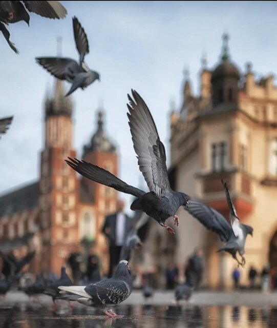 20230323-22210.jpg - Nicci