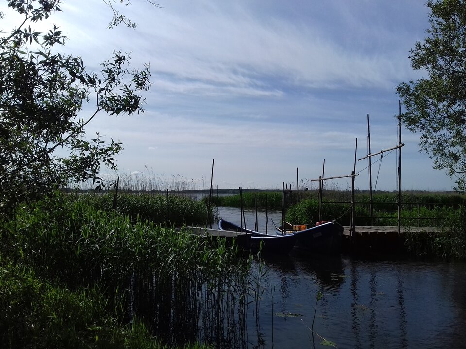 20190523_163909.jpg - torii99