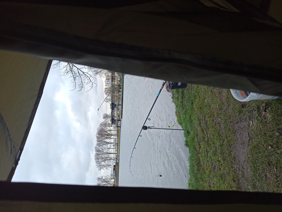 16797272509456947202377546038438.jpg - velur11