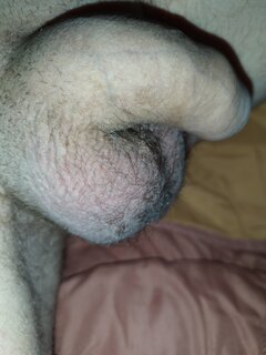 IMG_20230325_081455.jpg