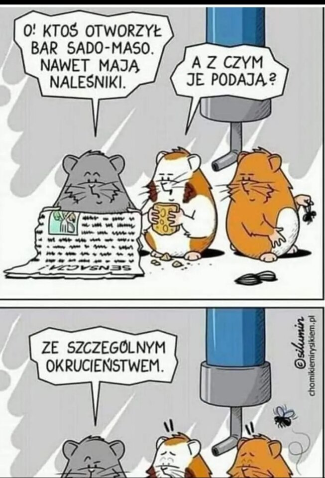 IMG_20230325_184553.jpg - Calisto