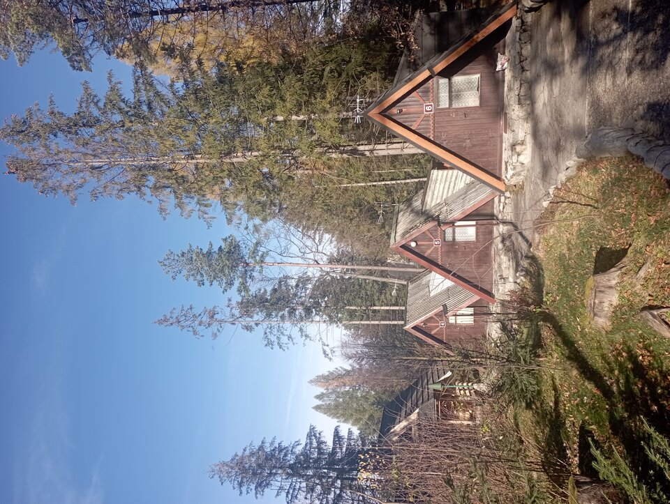 IMG_20221111_130109.jpg - BIfacet1976