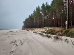 Chyba trochę za zimno na plażing ☹️