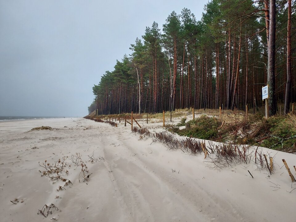 Chyba trochę za zimno na plażing ☹️ - Reksiki