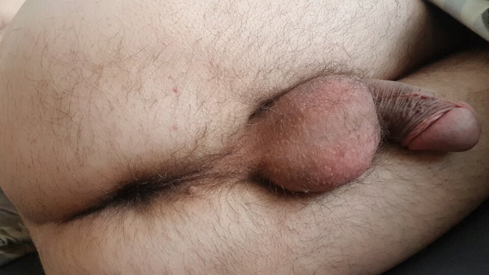 20230204_124123.jpg - arek00x