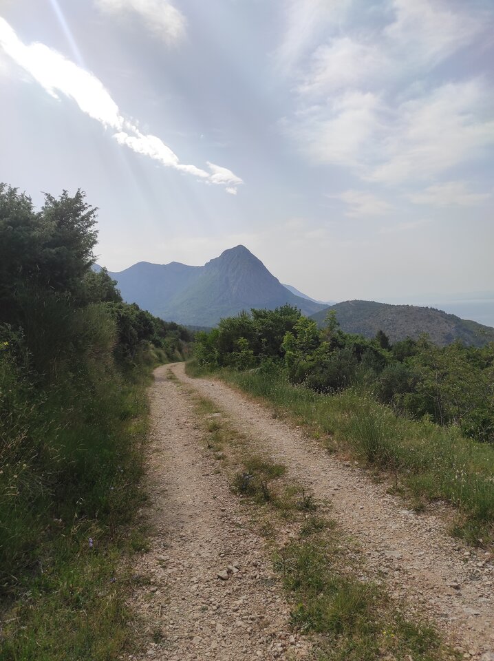 IMG_20220624_092707.jpg - Borsuczki1970