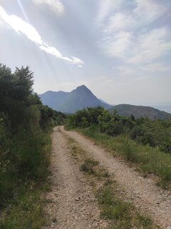 IMG_20220624_092707.jpg