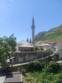 IMG_20220616_110906.jpg