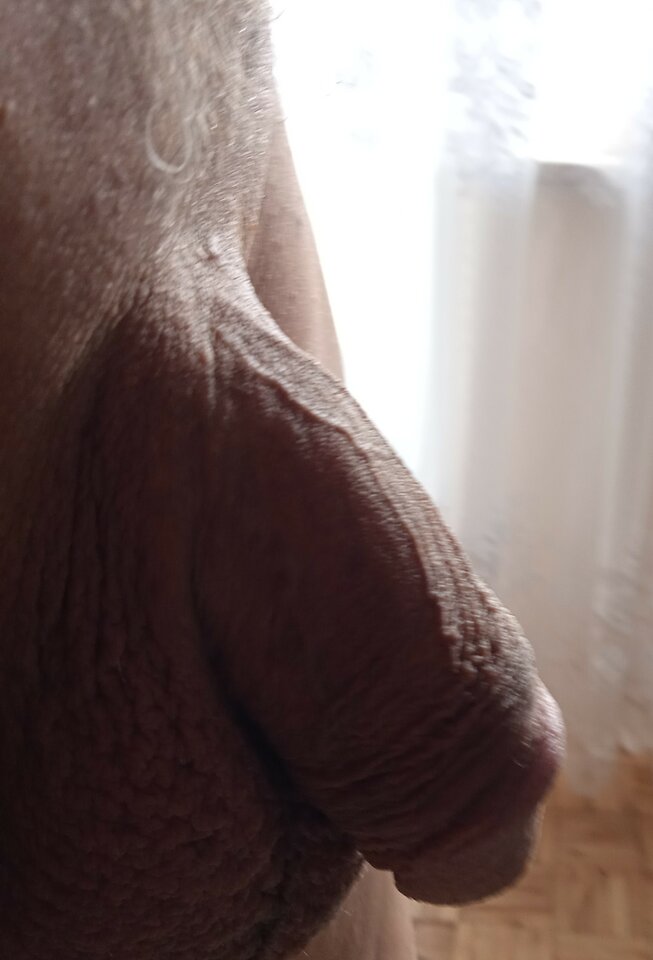 IMG_20230327_095508~2.jpg - 19Grzegorz55