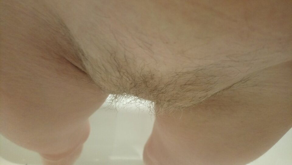 DSC_2515.JPG - MoniaTransCD