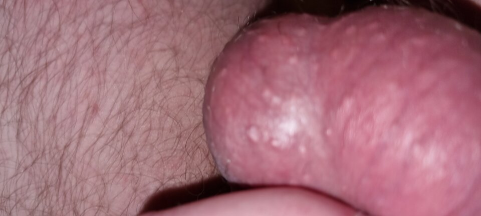 20230327_190336.jpg - jaty123456