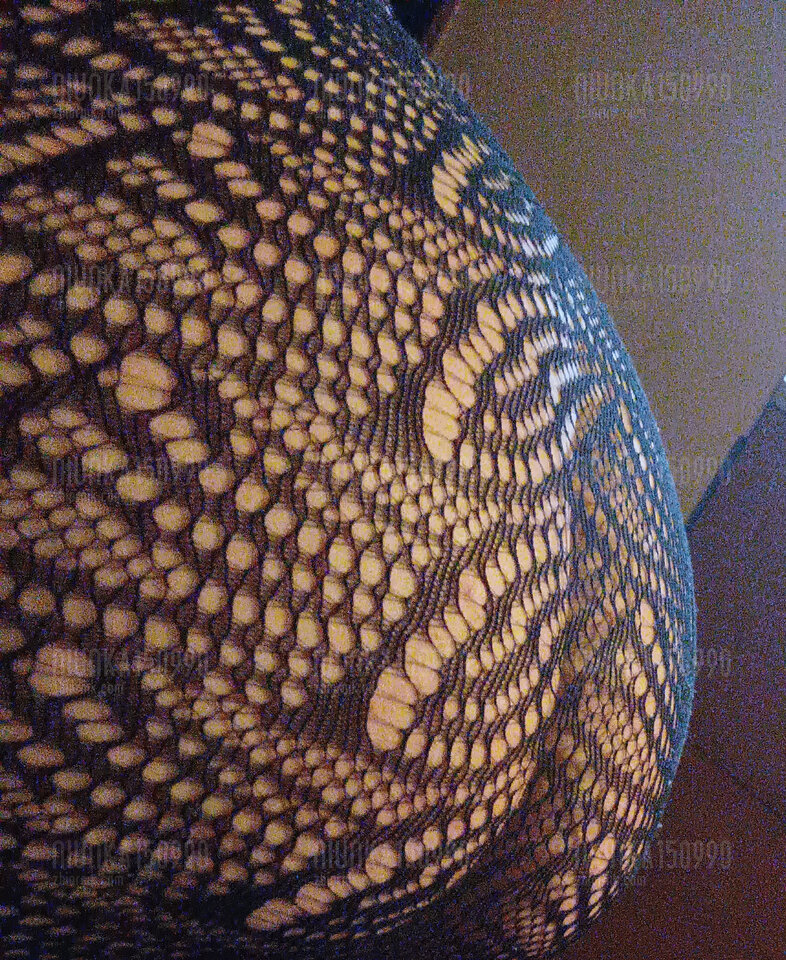 IMG_20230328_061750.jpg - Niunka150990