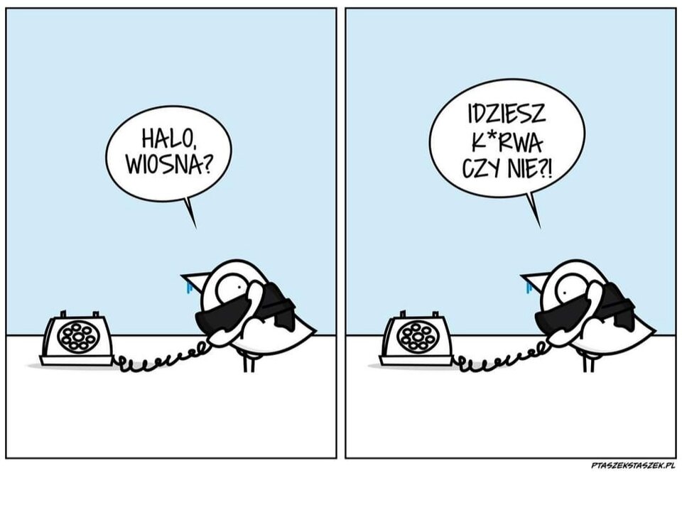 IMG_20230328_124551.jpg - Kundzia77