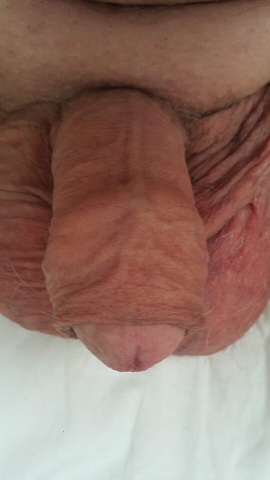 20230328_152035.jpg - robekBi