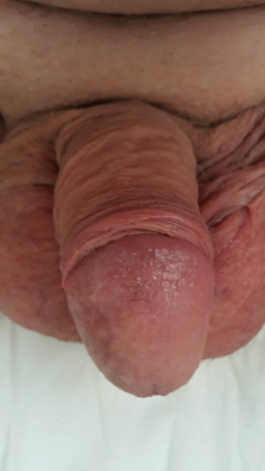 20230328_152039.jpg - robekBi