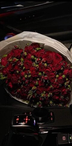 IMG_20230328_111154.jpg